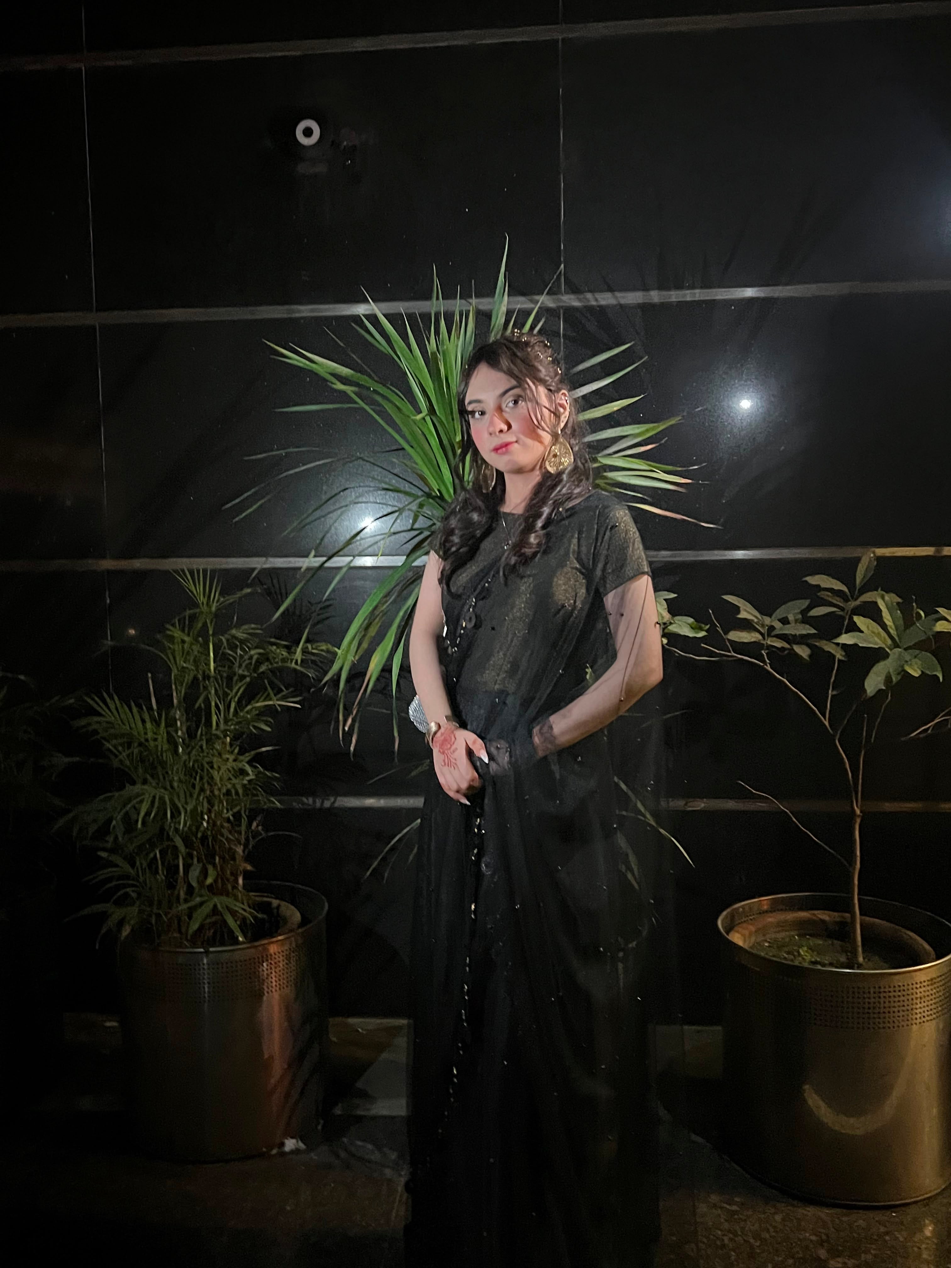The Noir Saree